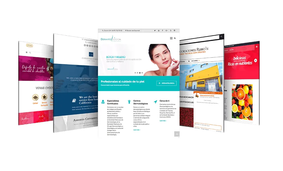 Páginas web diseñadas por Grupo Gurú